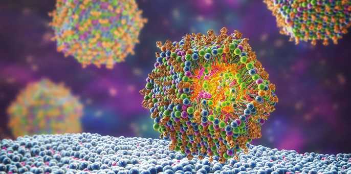 3D model of lipid nanoparticle delivering antiviral siRNA into a human cell